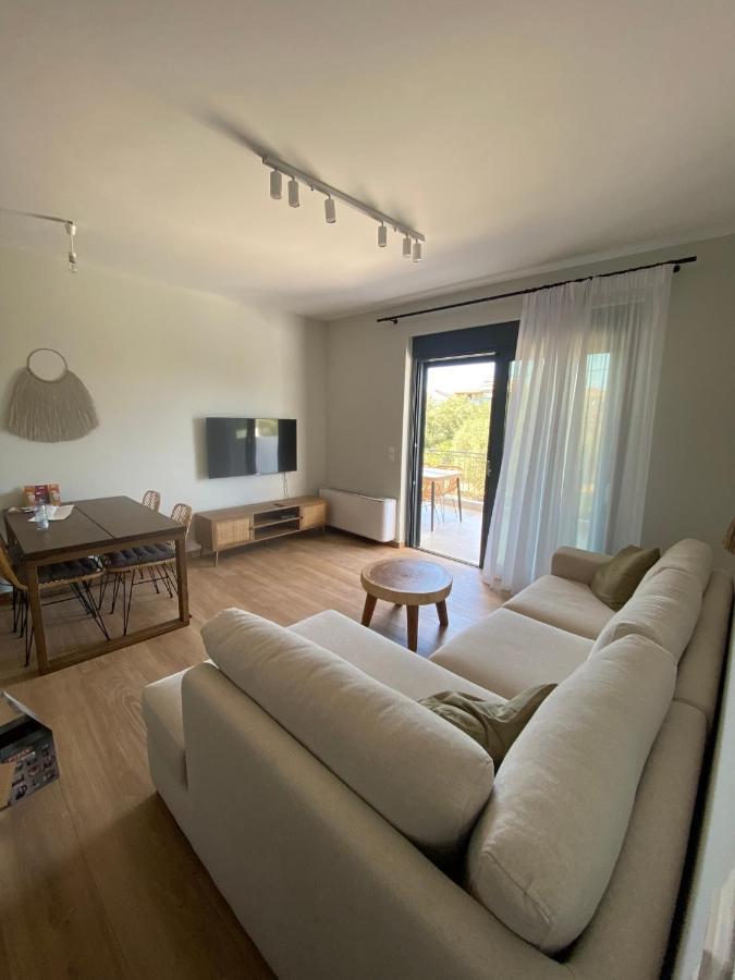 Vip Luxury Apartment In The Town Of Lefkada Zewnętrze zdjęcie